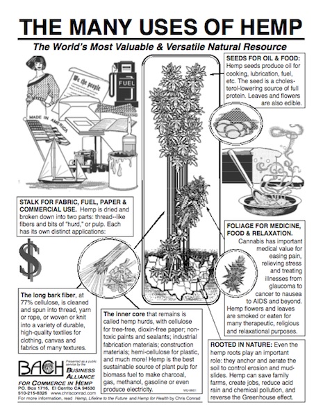 BACH flyer diagram plant