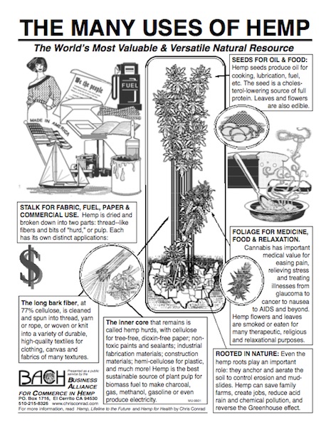 BACH flyer diagram plant 